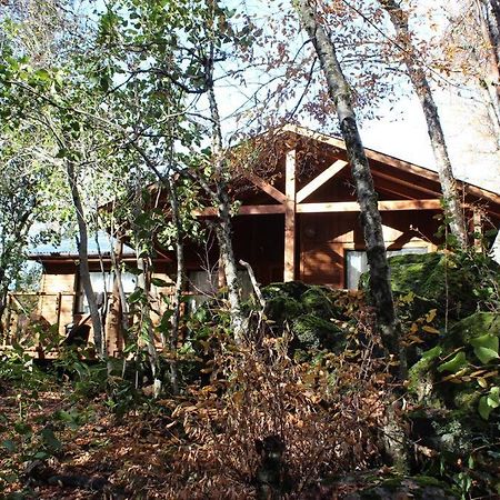 Cabana Bosque Viejo Villa Лас Транкас Екстериор снимка