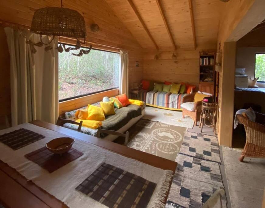 Cabana Bosque Viejo Villa Лас Транкас Екстериор снимка