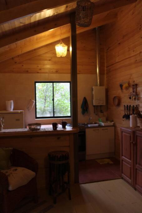 Cabana Bosque Viejo Villa Лас Транкас Екстериор снимка