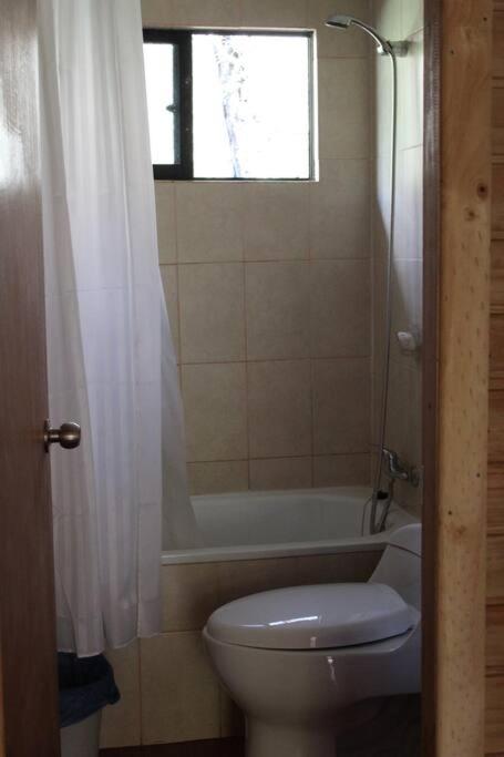 Cabana Bosque Viejo Villa Лас Транкас Екстериор снимка