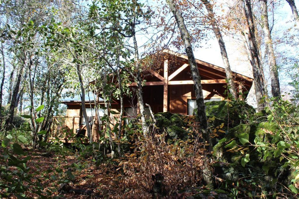 Cabana Bosque Viejo Villa Лас Транкас Екстериор снимка